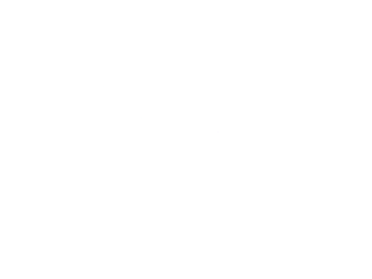 rise rehab